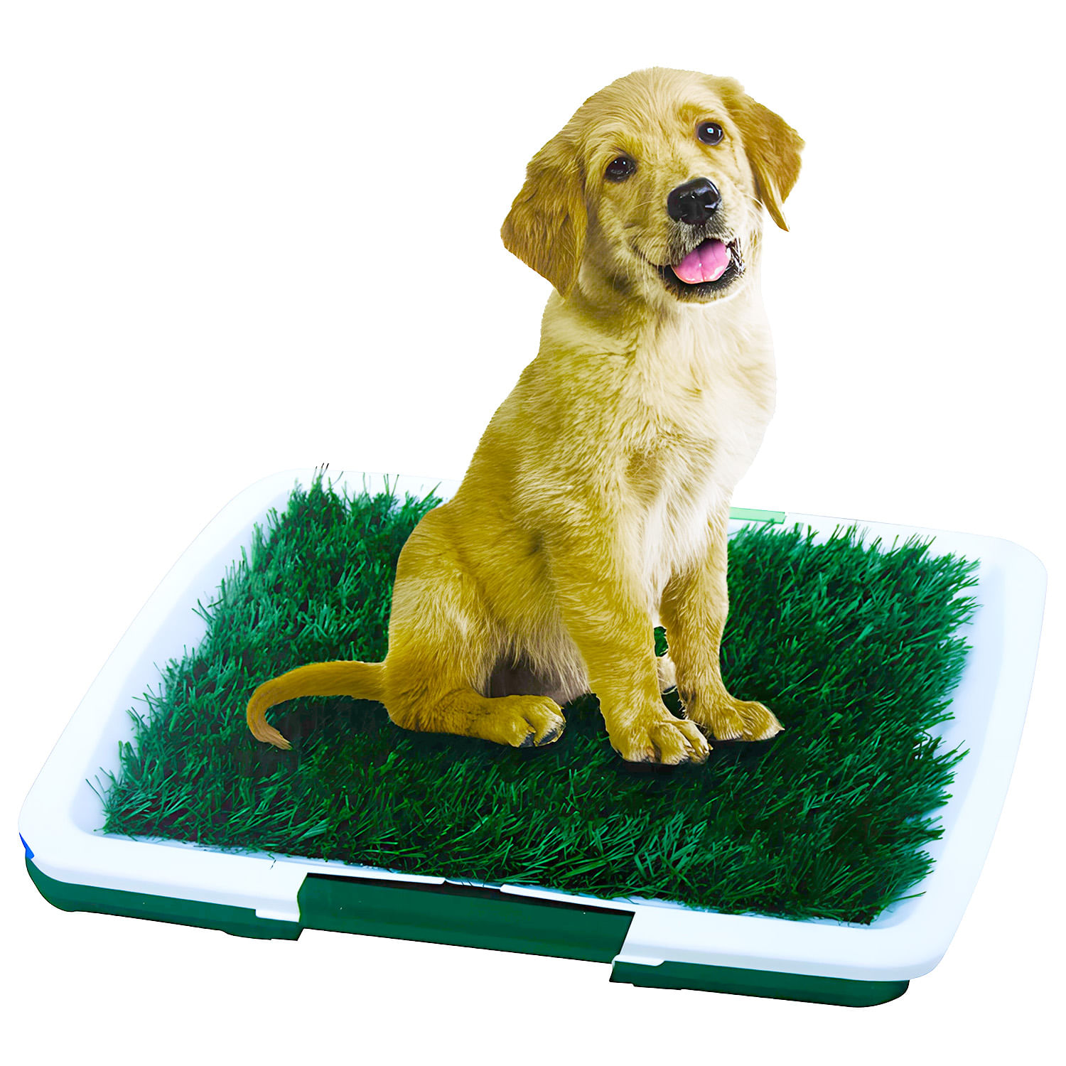 Almohadilla sanitaria canina de 46 x 34 cm con cesped sintético. | K PRO