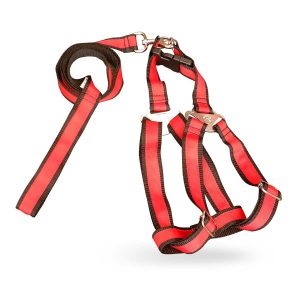 Arnes Sport P/Mascota "S" Pet Factory | PET FACTORY