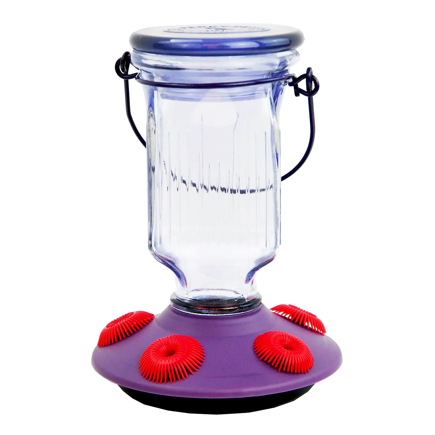 Bebedero de colibrí de diseño tipo lámpara colgante de vidrio con 5 bebederos de tipo flor para colibríes | PERKY PET