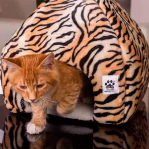 Casa Lona T/Igloo P/Mastoca Pinkis Pets | PINKIS PETS