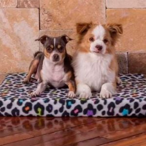 Colchoneta P/Mascota Doble T10 Pinkis Pet | PINKIS PETS