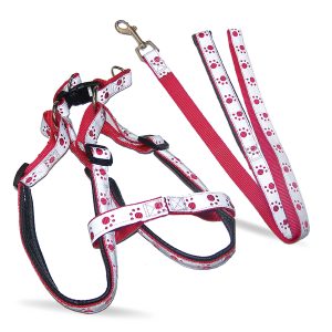 Correa P/Perro Talla S Unicolor Vanderpe | VANDER PET