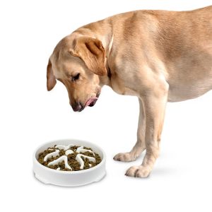 Plato para perro con diseño interno para calmar el estrés. | K HOME