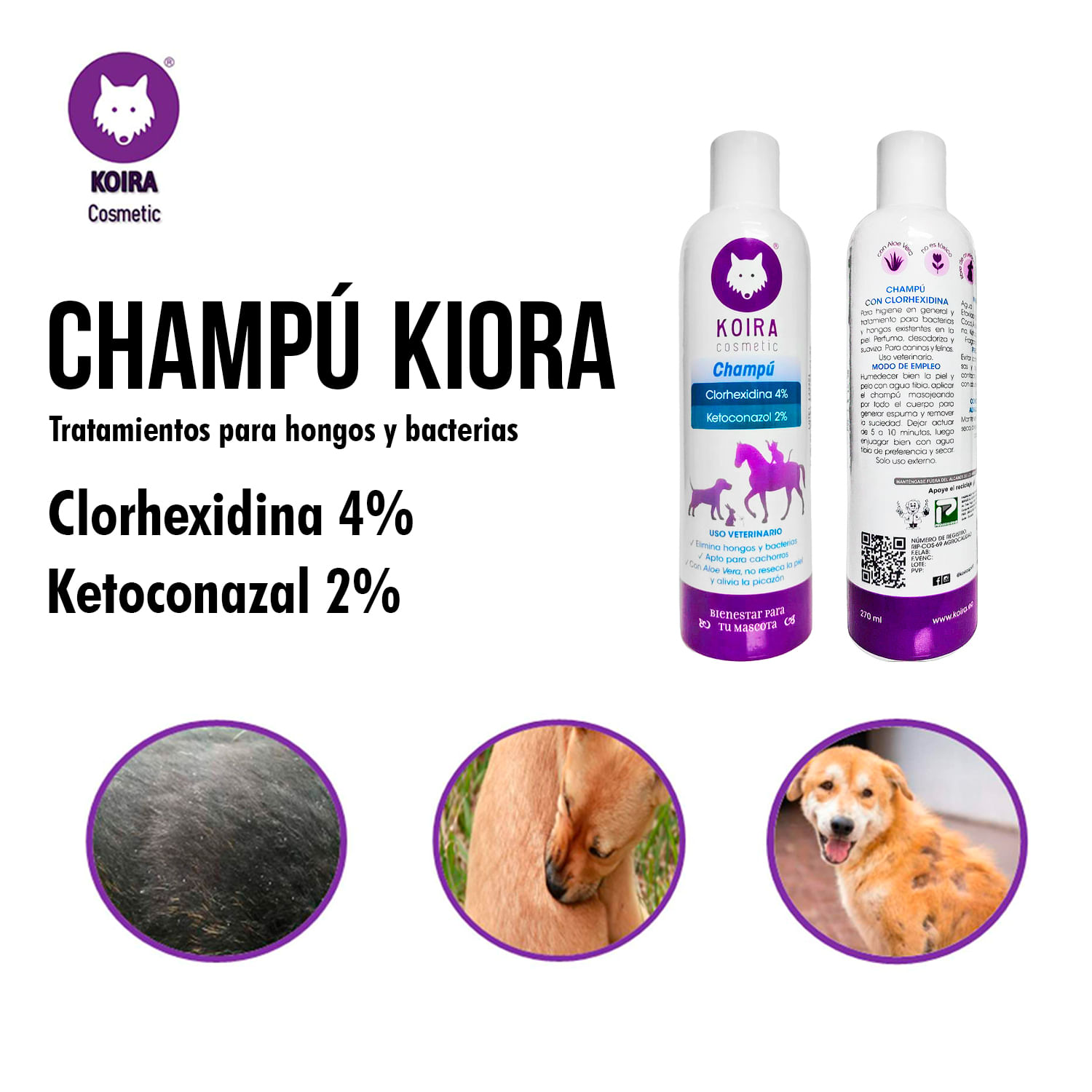 Shampoo con Clorhexida y Ketoconazol tratamiento hongos y bacterias - KIORA